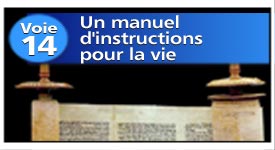 Voie n°14 : Un manuel d'instructions pour la vie