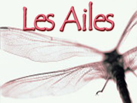 Des Ailes