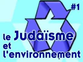 Le judaïsme et l'environnement - Première partie