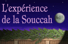 L'expérience de la Souccah