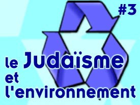 Le judaïsme et l'environnement - Troisième partie