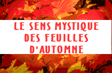 LE SENS MYSTIQUE DES FEUILLES D'AUTOMNE