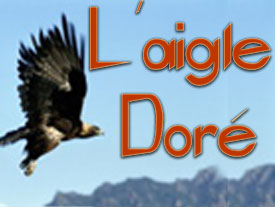 L'aigle Doré