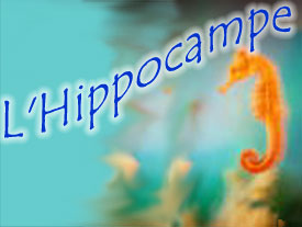 L'Hippocampe