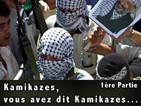 Kamikazes, vous avez dit Kamikazes... 1ère partie