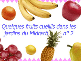 Quelques Fruits Cueillis dans les Jardins du Midrach 2ème partie