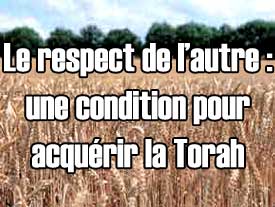 Le respect de l'autre: une condition pour acquérir la Torah