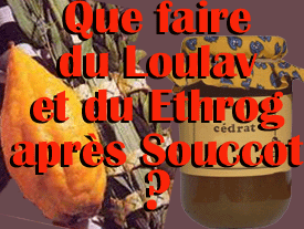 Que faire du Loulav et du Ethrog après Souccot ?