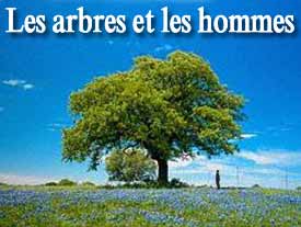 Les arbres et les hommes