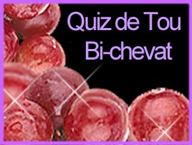 Quiz de Tou Bichevat - Bénédictions sur les fruits