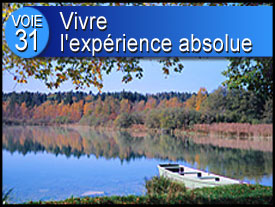 Voie n°31 : Vivre l'Expérience Absolue