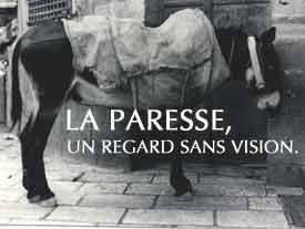 La Paresse : Un regard sans Vision ...