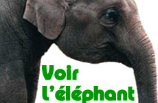 Voir l'éléphant