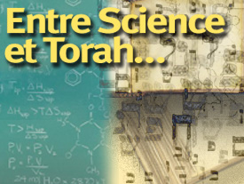 Entre Science et Torah, Quelle place pour le libre-arbitre ?