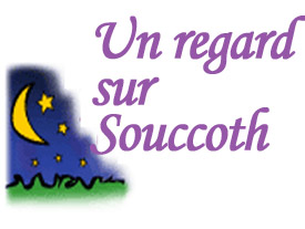 Un Regard sur Souccoth