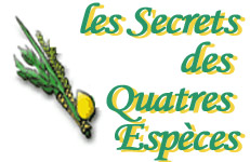 Les secrets des Quatre Espèces