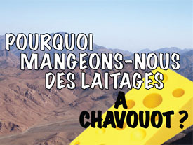 Pourquoi mangeons-nous des laitages à Chavouot ?