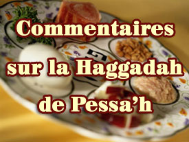 Commentaires sur la Haggadah de Pessa'h